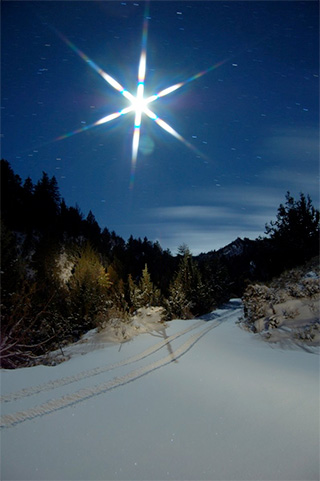 Christmas star